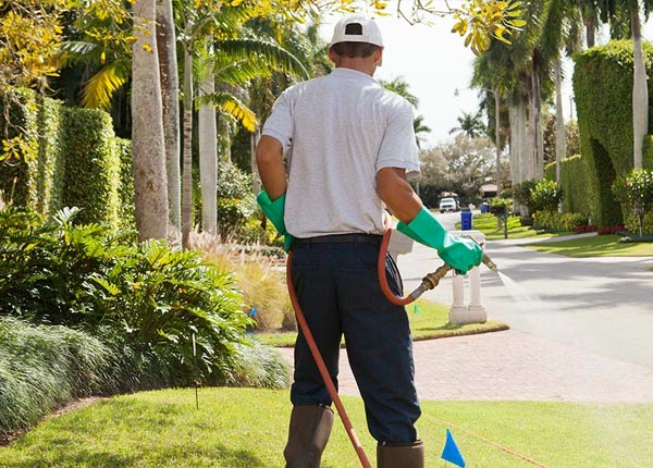 About Tampa FL Pest Control